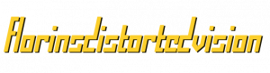 Florinsdistortedvision Transparent Font Logo.png